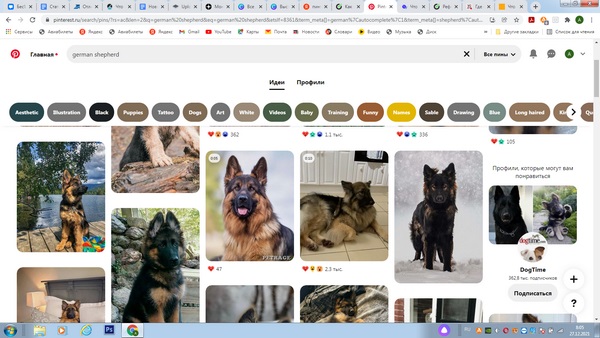 Скриншот рабочей области Pinterest по запросу «German shepherd»